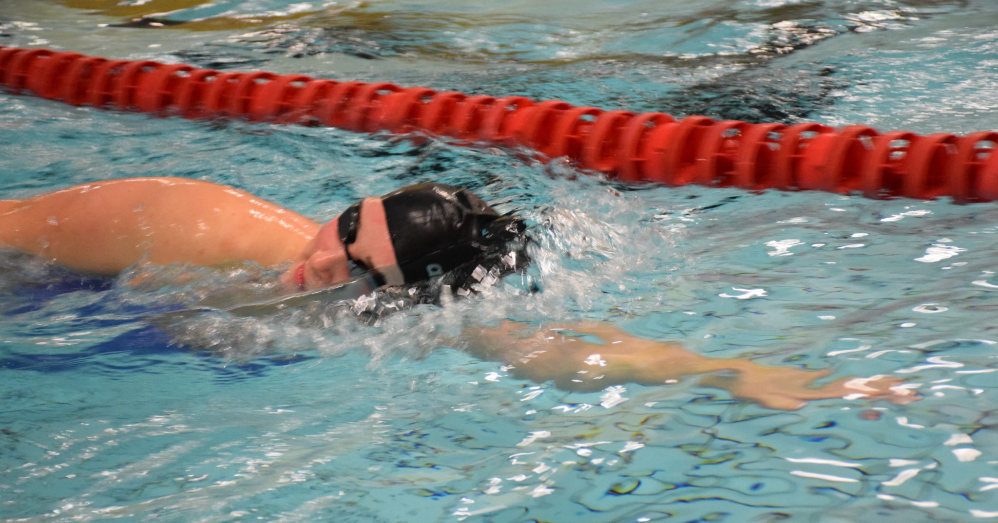 Erwachsene - Schwimmverein Krems